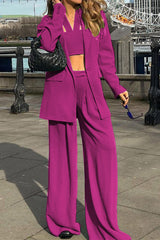 Work Elegant Solid Solid Color Turn-back Collar Long Sleeve Two Pieces(3 Colors)