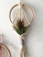 Colorful Macrame Plant Holder - Boho Home Wall Hanging Tapestry Pod Hanger