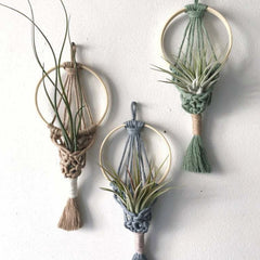 Colorful Macrame Plant Holder - Boho Home Wall Hanging Tapestry Pod Hanger