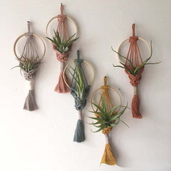 Colorful Macrame Plant Holder - Boho Home Wall Hanging Tapestry Pod Hanger