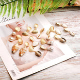 Boho Earrings, Dangle Earrings, Natural Shell Cowrie White Gold