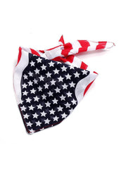 Flag Day Theme Pentagram Patterned Headband