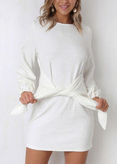 Long Sleeve Solid Color Round Neck Dress