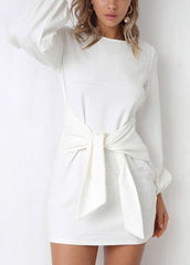 Long Sleeve Solid Color Round Neck Dress