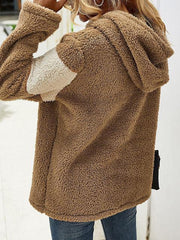 Color Block Hooded Plush Sweatshirt
