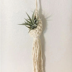 Macrame Rope Plant Wall Hanging - Boho Home Decor