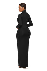 Turtleneck Long Sleeve Solid Color Bodycon Maxi Dress