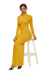 Turtleneck Long Sleeve Solid Color Bodycon Maxi Dress