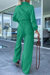 Casual Simplicity Solid Fold Turndown Collar Long Sleeve Two Pieces