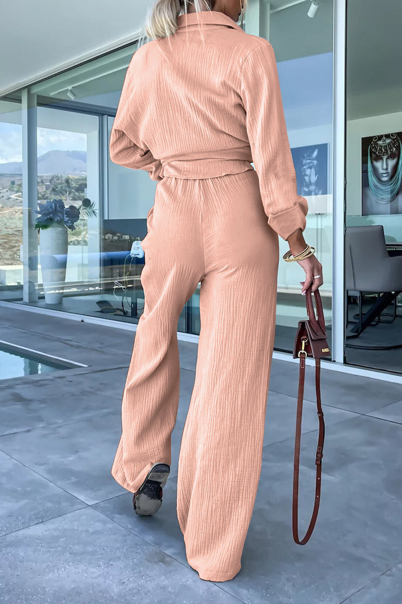 Casual Simplicity Solid Fold Turndown Collar Long Sleeve Two Pieces