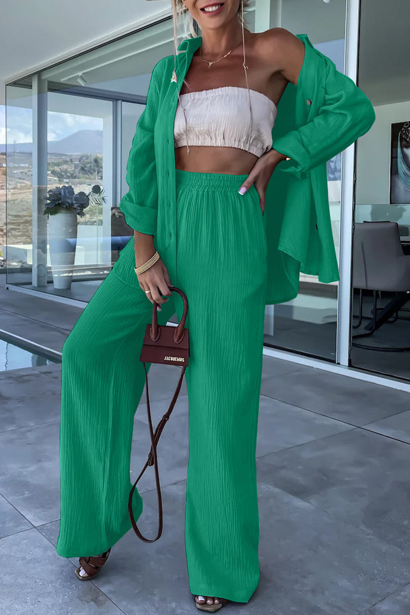 Casual Simplicity Solid Fold Turndown Collar Long Sleeve Two Pieces