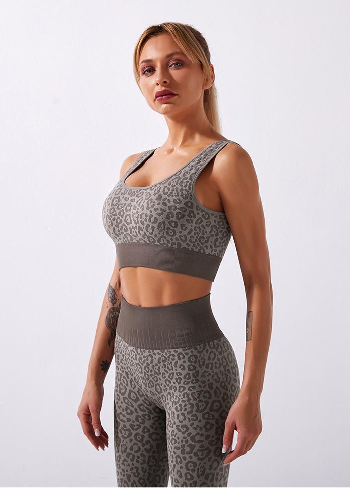 Leopard High Waist Yoga Bra And Pants