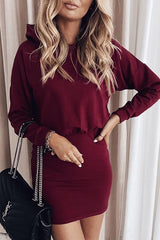 Solid Bodycon Hooded Mini Dress