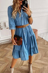 Button Turndown Collar Cake Skirt Dresses