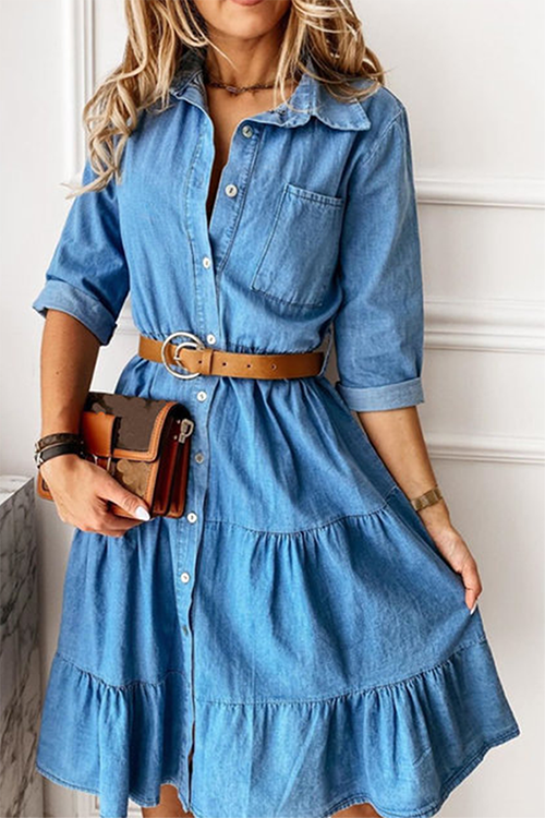 Button Turndown Collar Cake Skirt Dresses