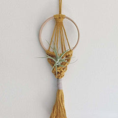 Colorful Macrame Plant Holder - Boho Home Wall Hanging Tapestry Pod Hanger