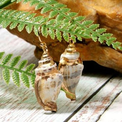 Boho Earrings, Dangle Earrings, Natural Shell with Gold