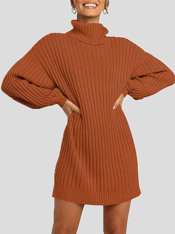 Women's Dresses Pure High Collar Long Sleeve Knit Dress