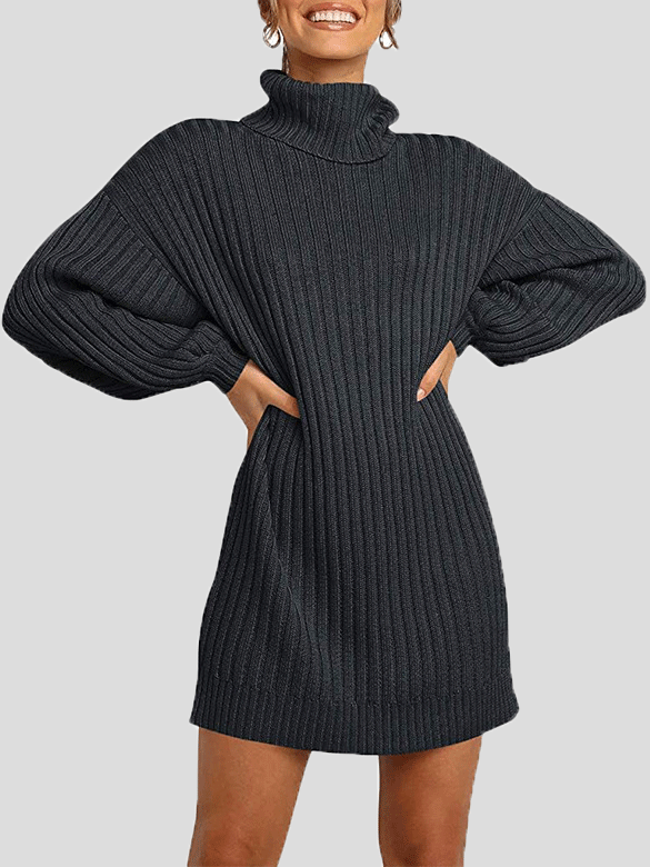 Women's Dresses Pure High Collar Long Sleeve Knit Dress