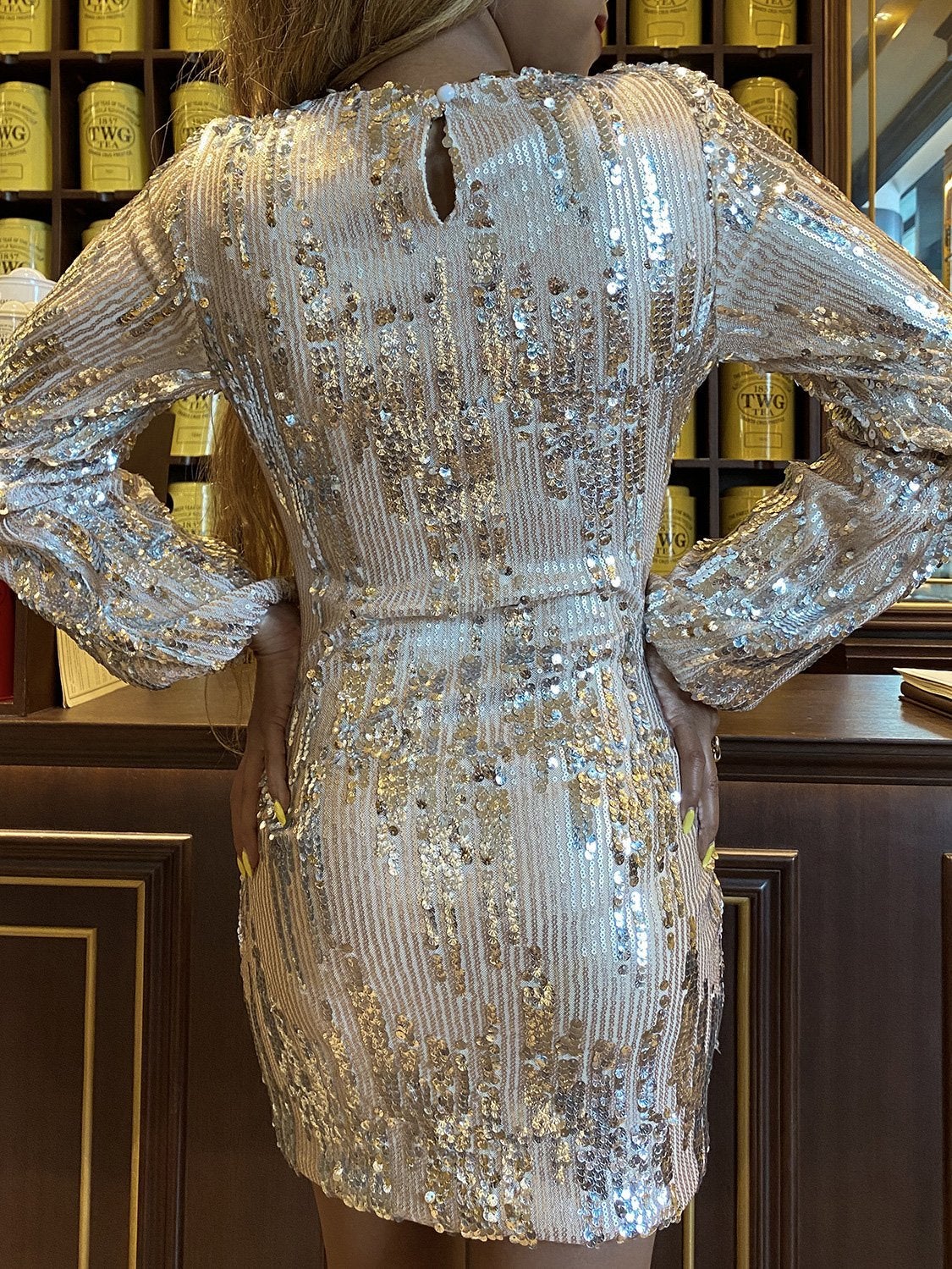 Women's Dresses Sequined Crew Neck Long Sleeve Mini Dress