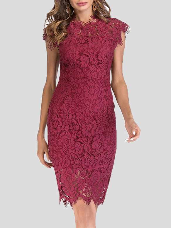 Women's Dresses Solid Lace Slim-Fit Midi Dress