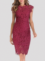 Women's Dresses Solid Lace Slim-Fit Midi Dress
