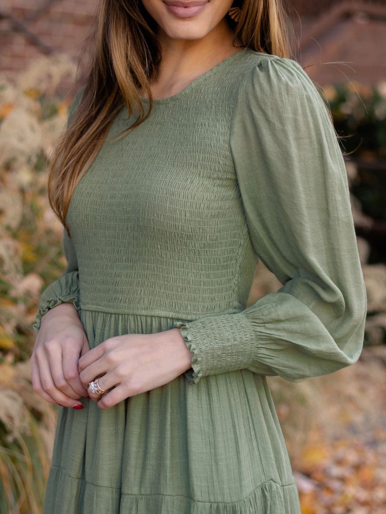 Women's Dresses Solid Round Neck Balloon Sleeve Dress