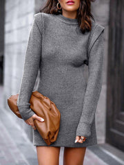 Women's Dresses Solid Round Neck Long Sleeve Sweater Dress
