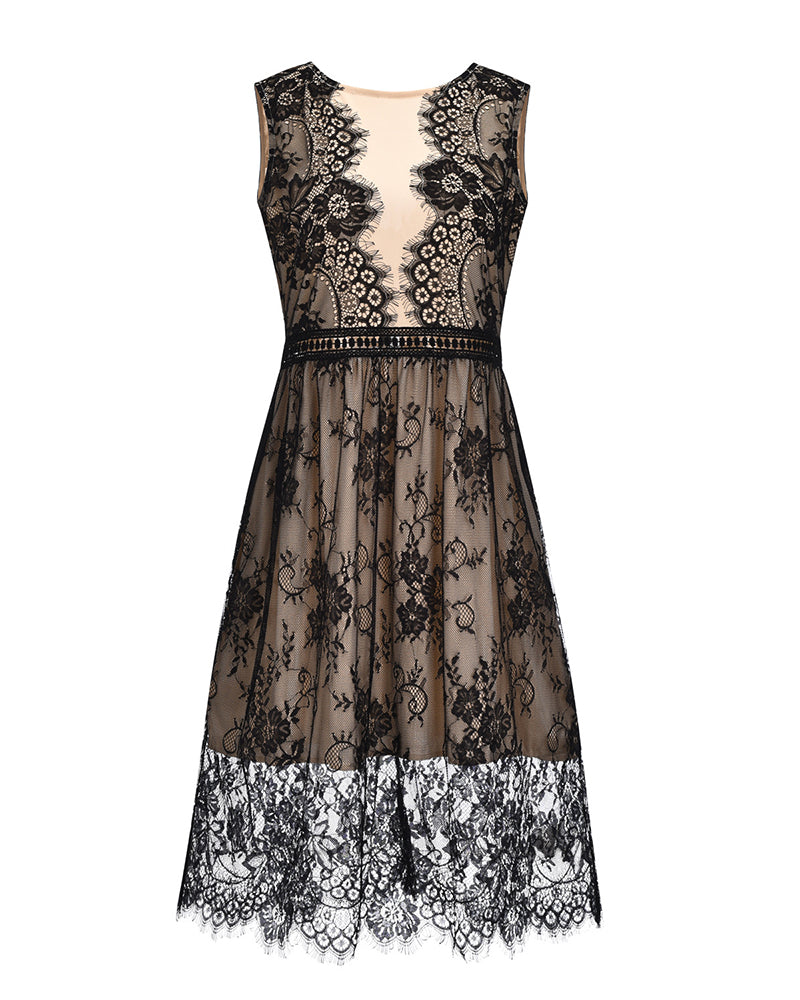 Floral Lace Zip Back Overlay A-line Dress
