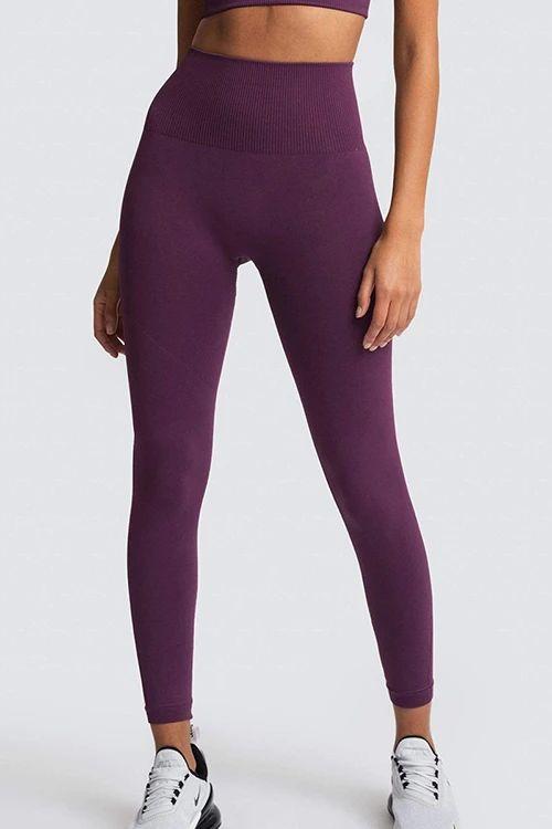 Solid Seamless Bra Leggings Set