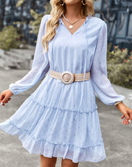Casual V-Neck Polka Dot Long Sleeve Mini Dress