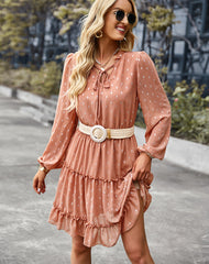 Casual V-Neck Polka Dot Long Sleeve Mini Dress