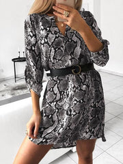 Leopard Print Long Sleeve Shirt Dress