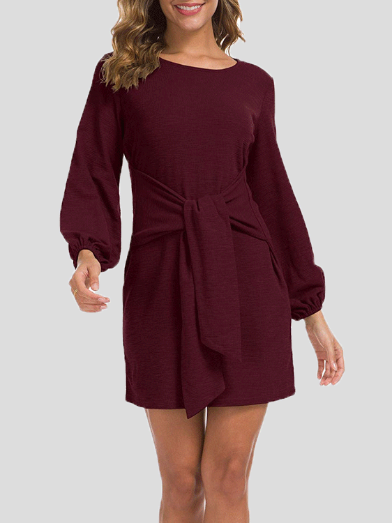 Women's Dresses Plain Belted Long Sleeve Mini Dress