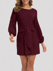 Women's Dresses Plain Belted Long Sleeve Mini Dress