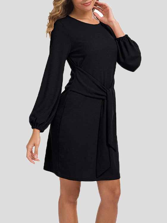 Women's Dresses Plain Belted Long Sleeve Mini Dress
