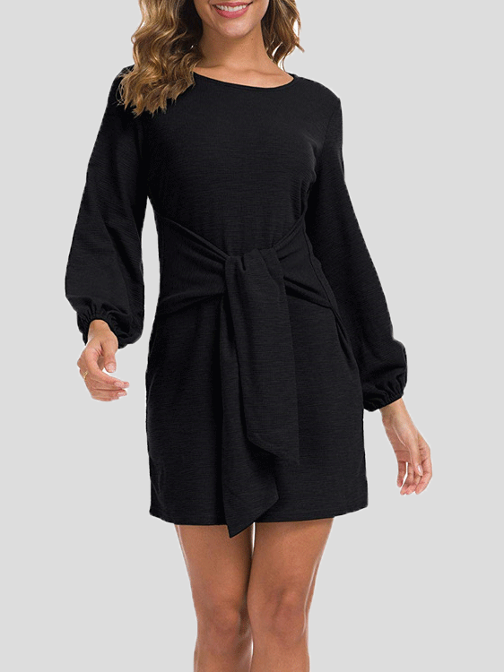 Women's Dresses Plain Belted Long Sleeve Mini Dress
