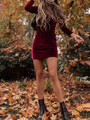 Women's Dresses Velvet Square Neck Long Sleeve Dress